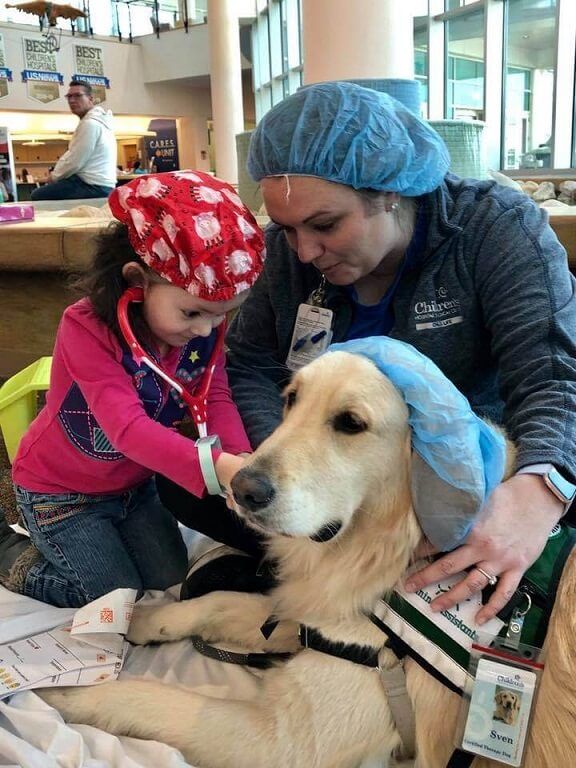 hospital therapy dog