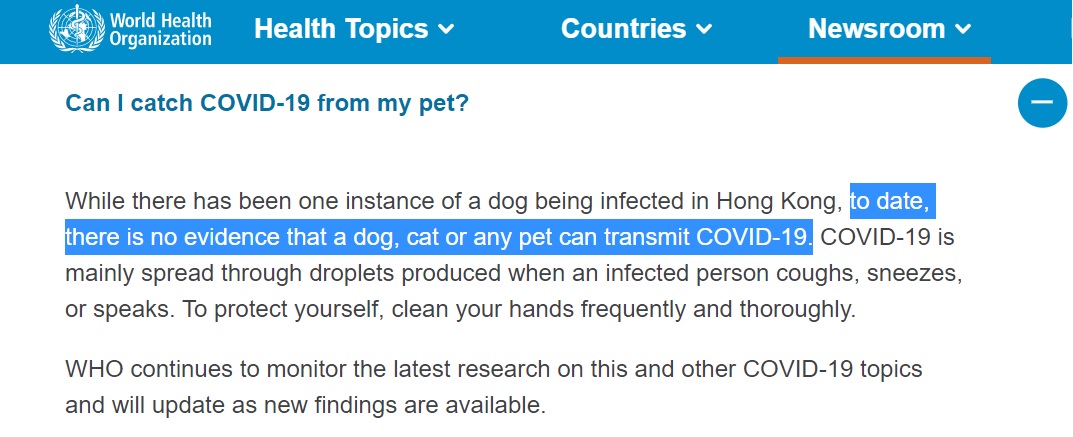 can dogs get coronavirus - WHO guidance on pets and COVID-19