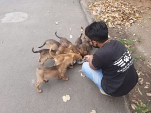 Cara (app) visual data 5