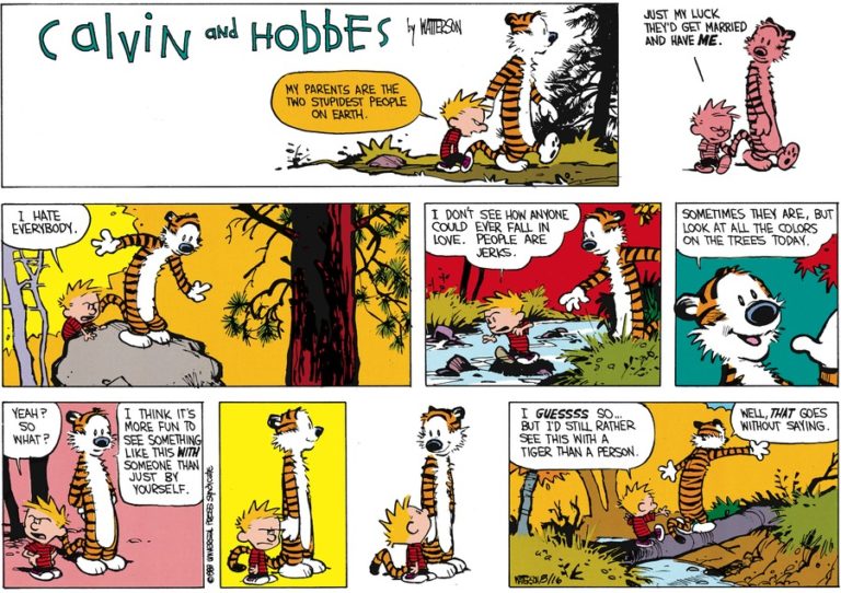 Calvin And Hobbes Comic