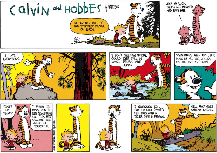 calvin and hobbes friendship