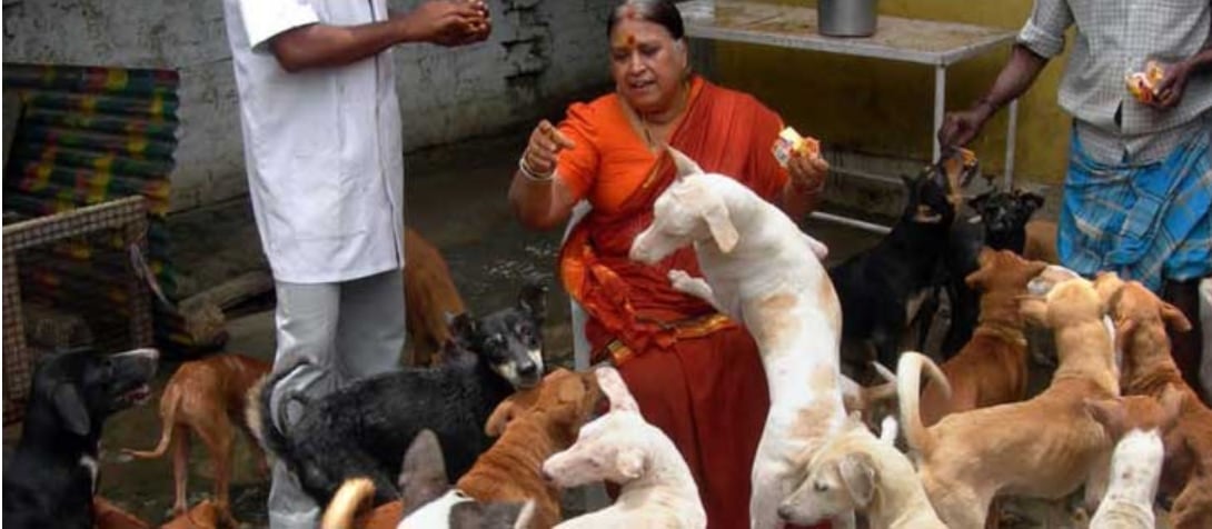 AWPT dog adoption Chennai