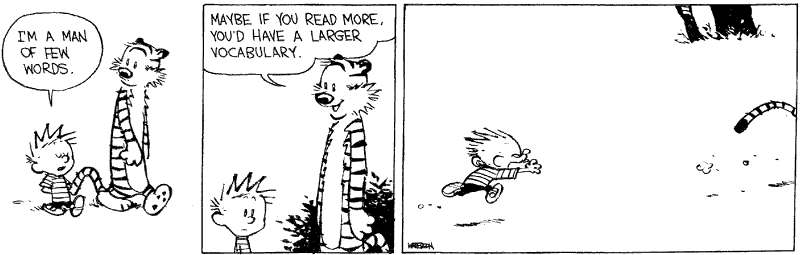 calvin and hobbes words
