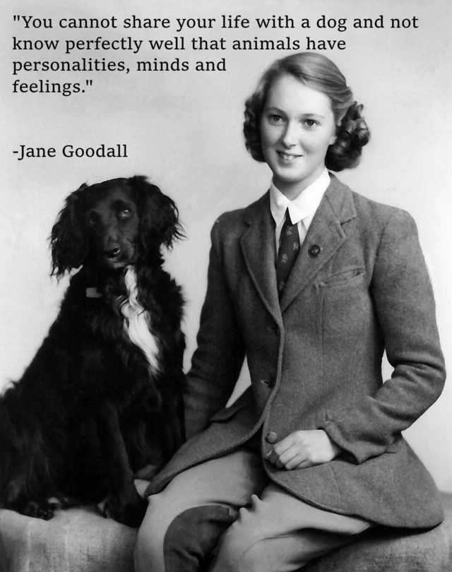 Jane Goodall dog quote