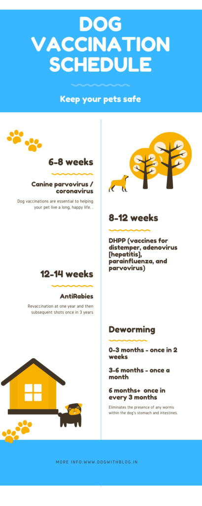 dog vaccination infographic
