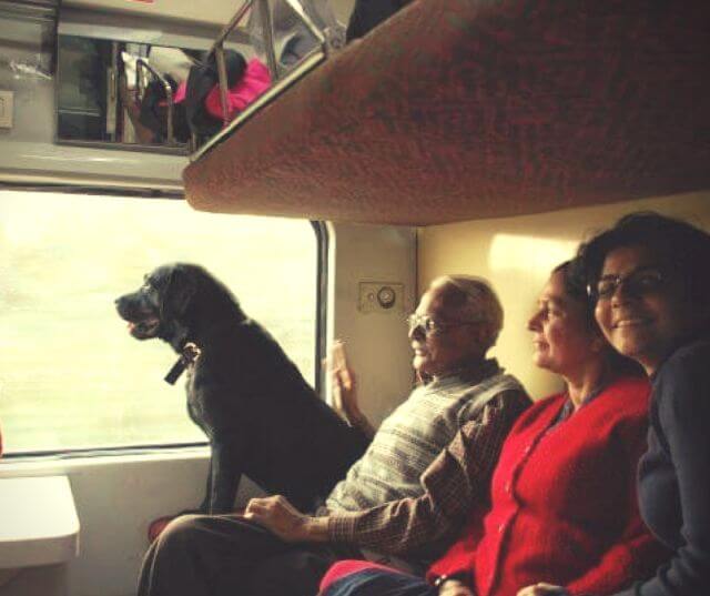 dog train travel india