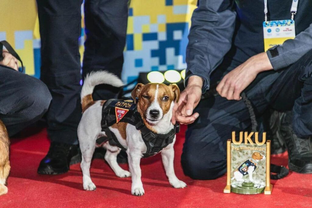 Ukraine dog Patron award 