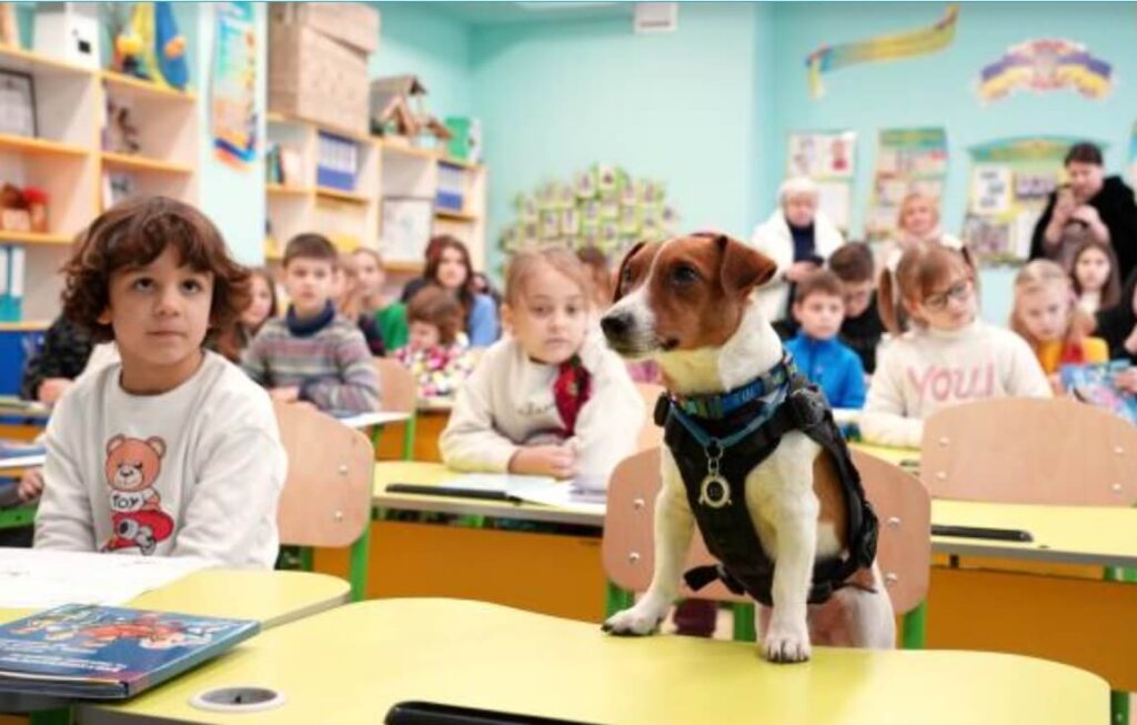 Patron dog school