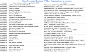 Lucknow dog adoption