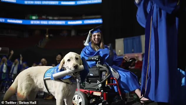 service dog receives diploma