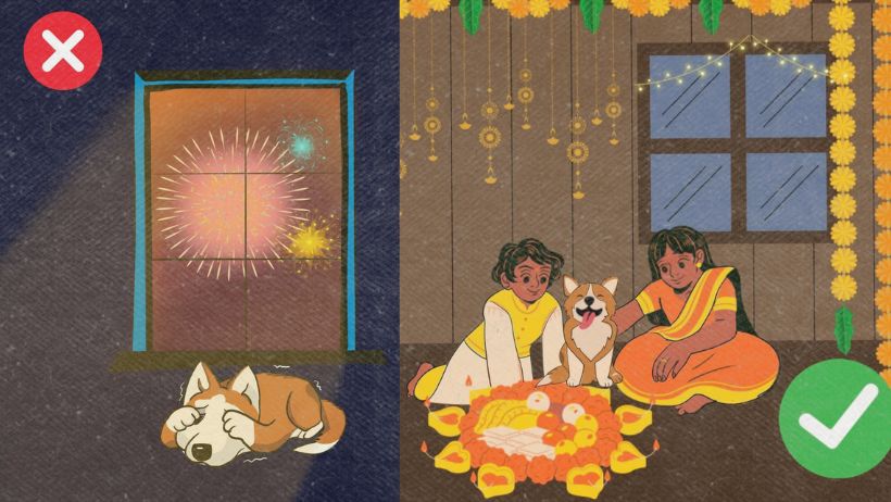 how to help dogs in diwali