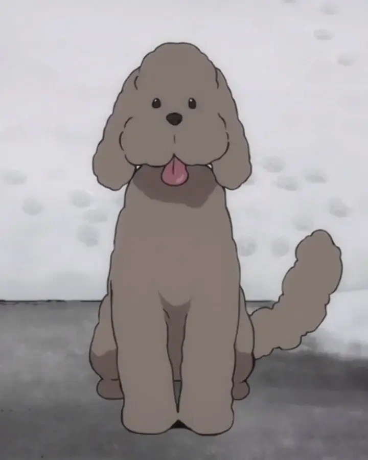 yuri on ice dog Makkachin