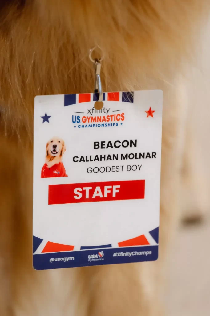 beacon therapy dog card