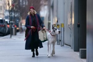 The Friend 2025 movie review featuring Naomi Watts and a Great Dane