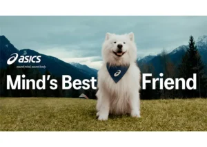 Felix asics dog
