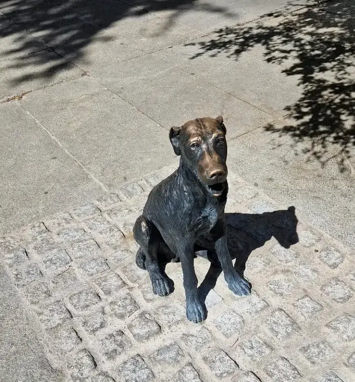 Madrid famous dog Paco statue