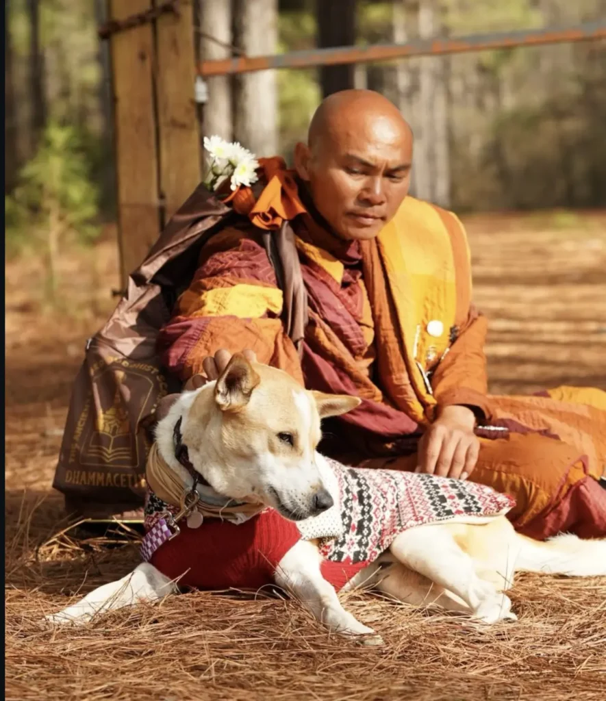 Aloka the Indian Pariah Dog resting beside a Buddhist monk during his long-distance peace walk, symbolizing calm, loyalty, and spiritual companionship