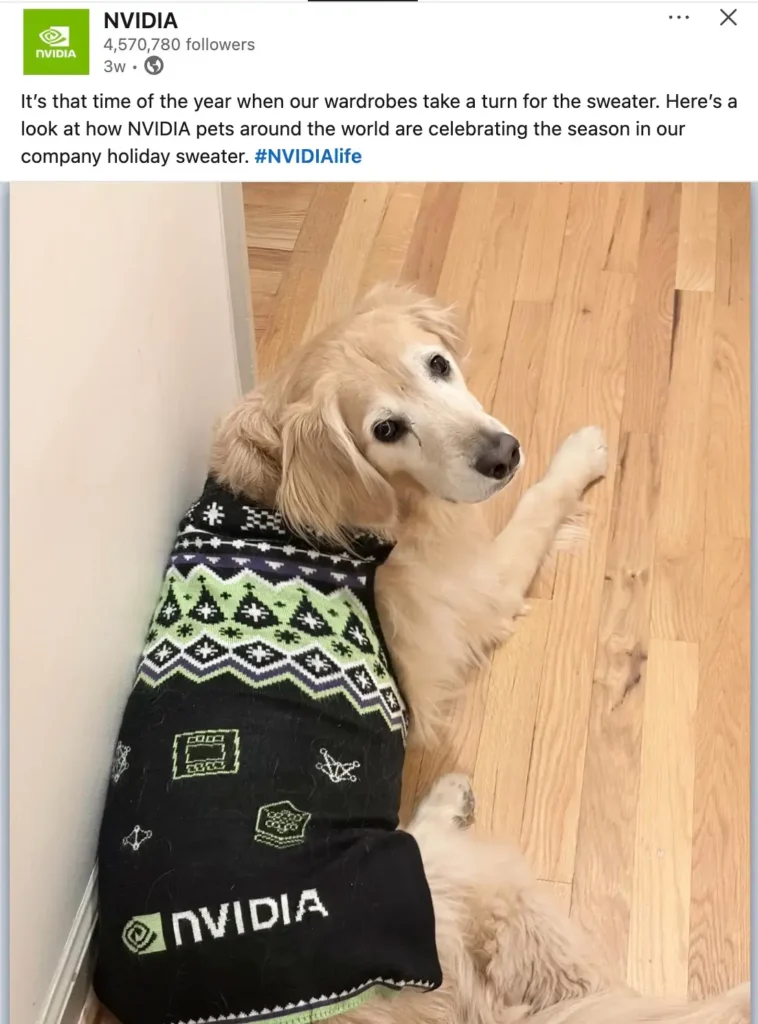 Golden Retriever dog wearing official NVIDIA holiday pet sweater with company logo and festive green-black pattern, lounging on office floor during pet-friendly workday at NVIDIA headquarters
