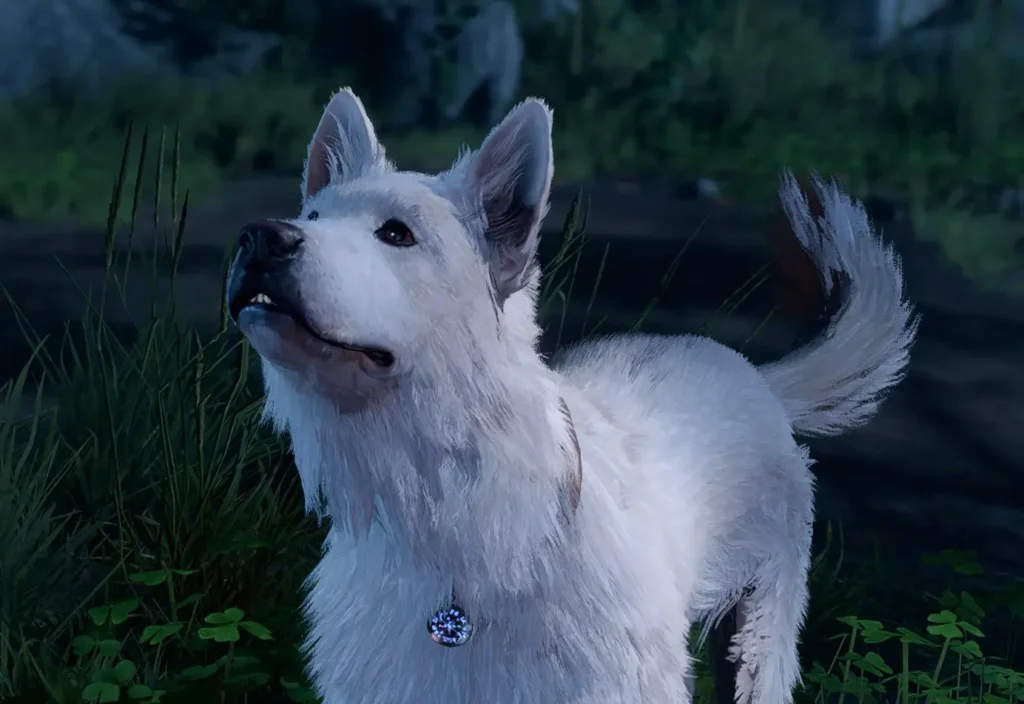 Scratch the white dog companion in Baldur's Gate 3