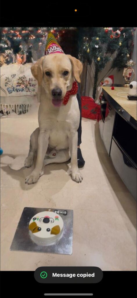 South Delhi adoption