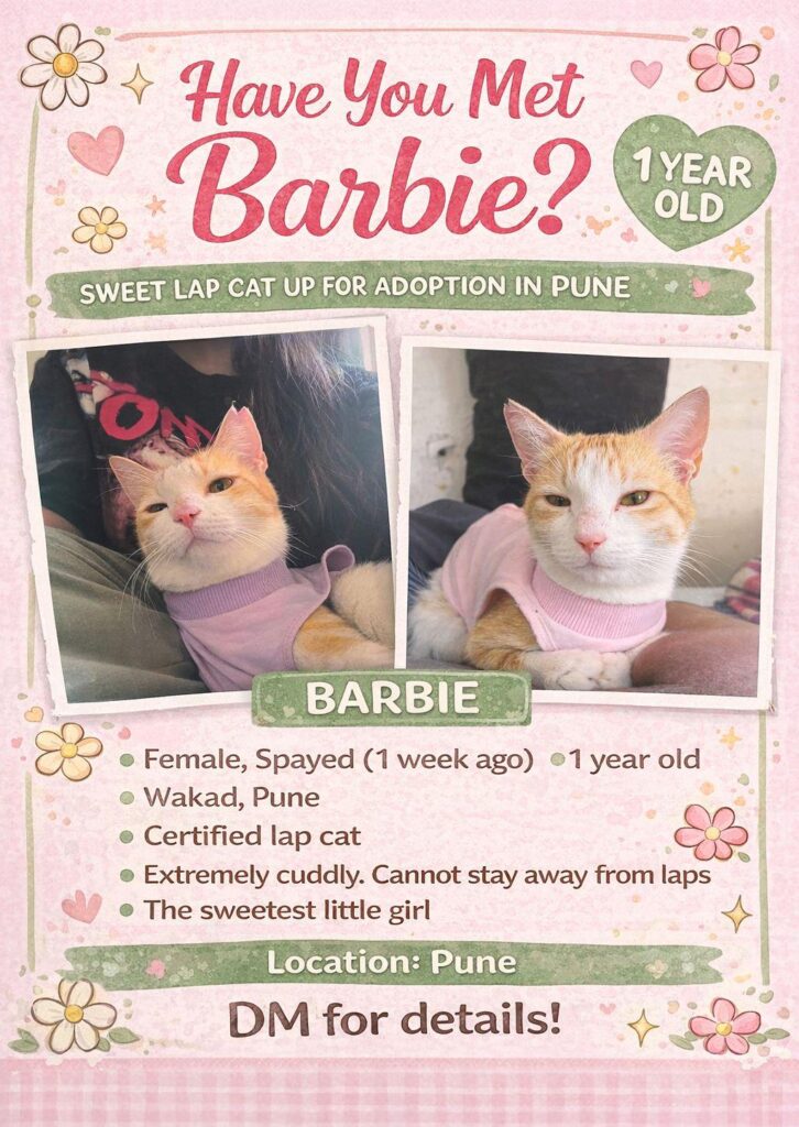 Barbie is up for adoption!!