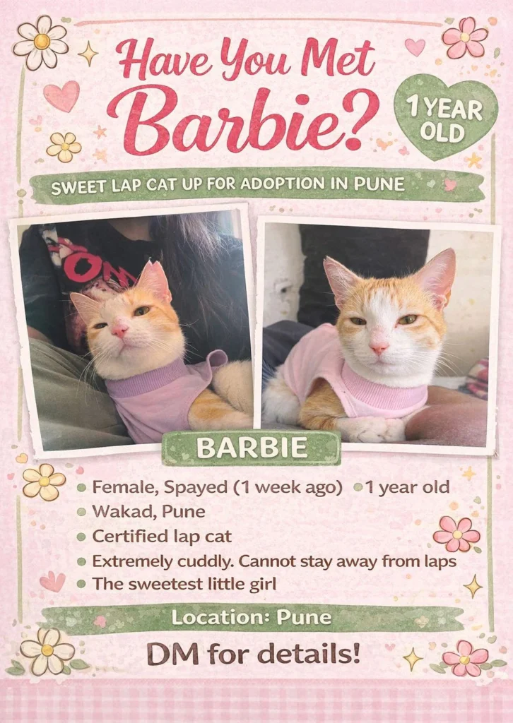 Barbie is up for adoption!!