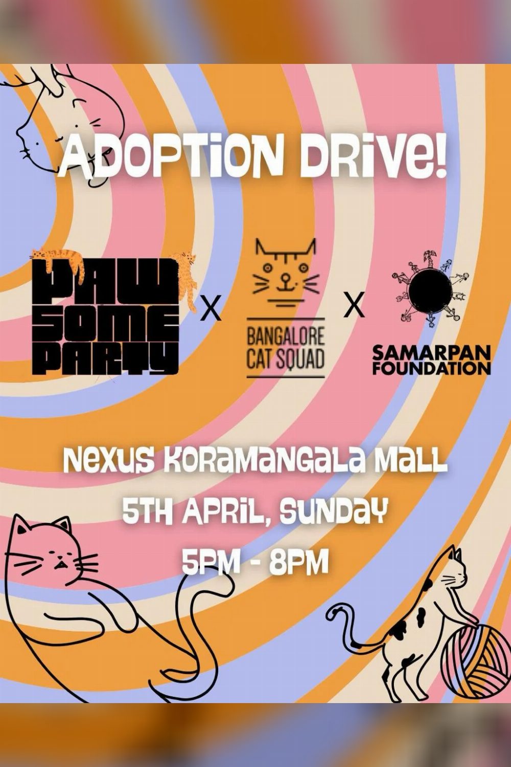 Cat Adoption Camp — Bengaluru
