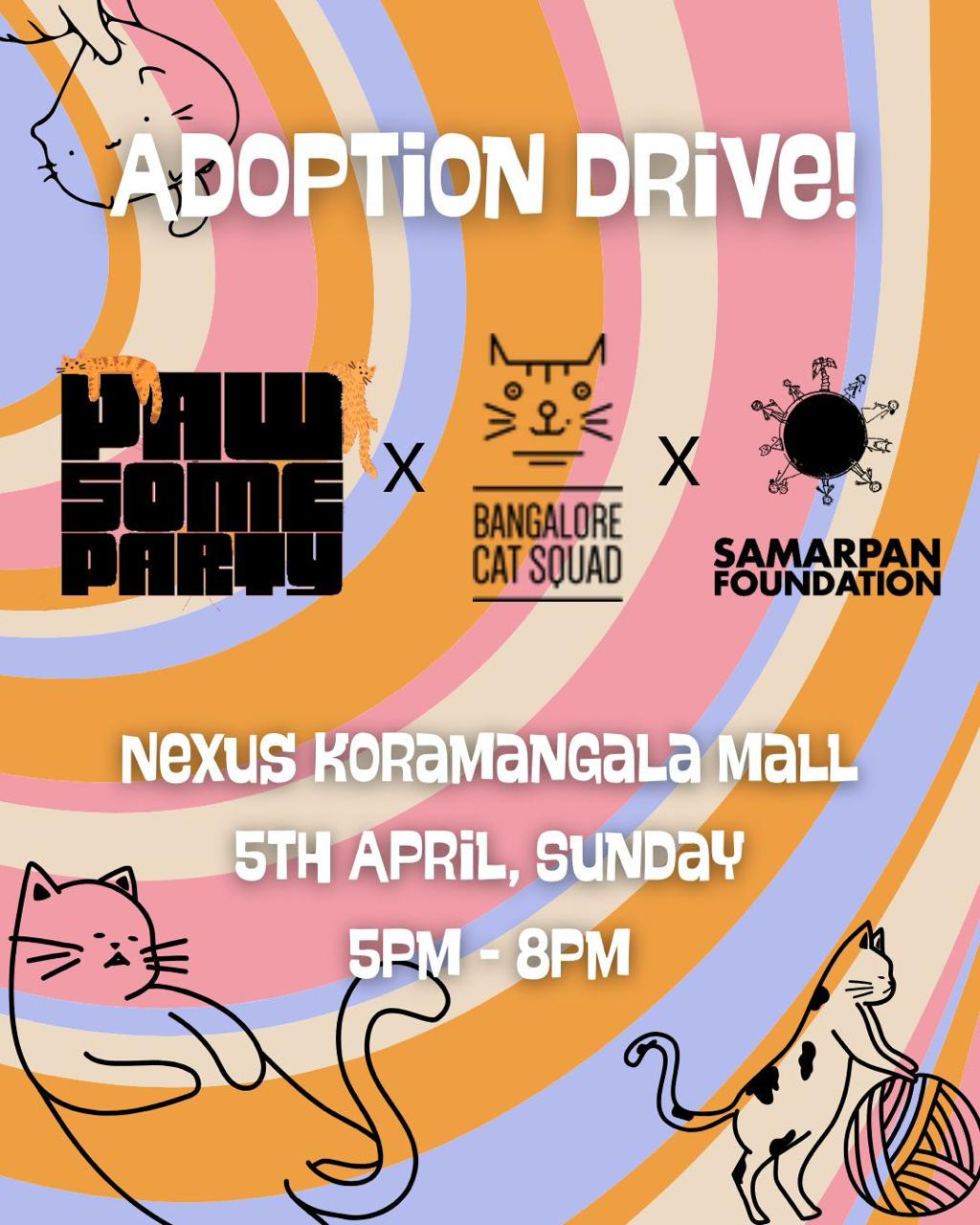 Cat Adoption Camp in Bangalore