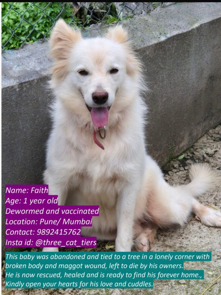 Please adopt Faith