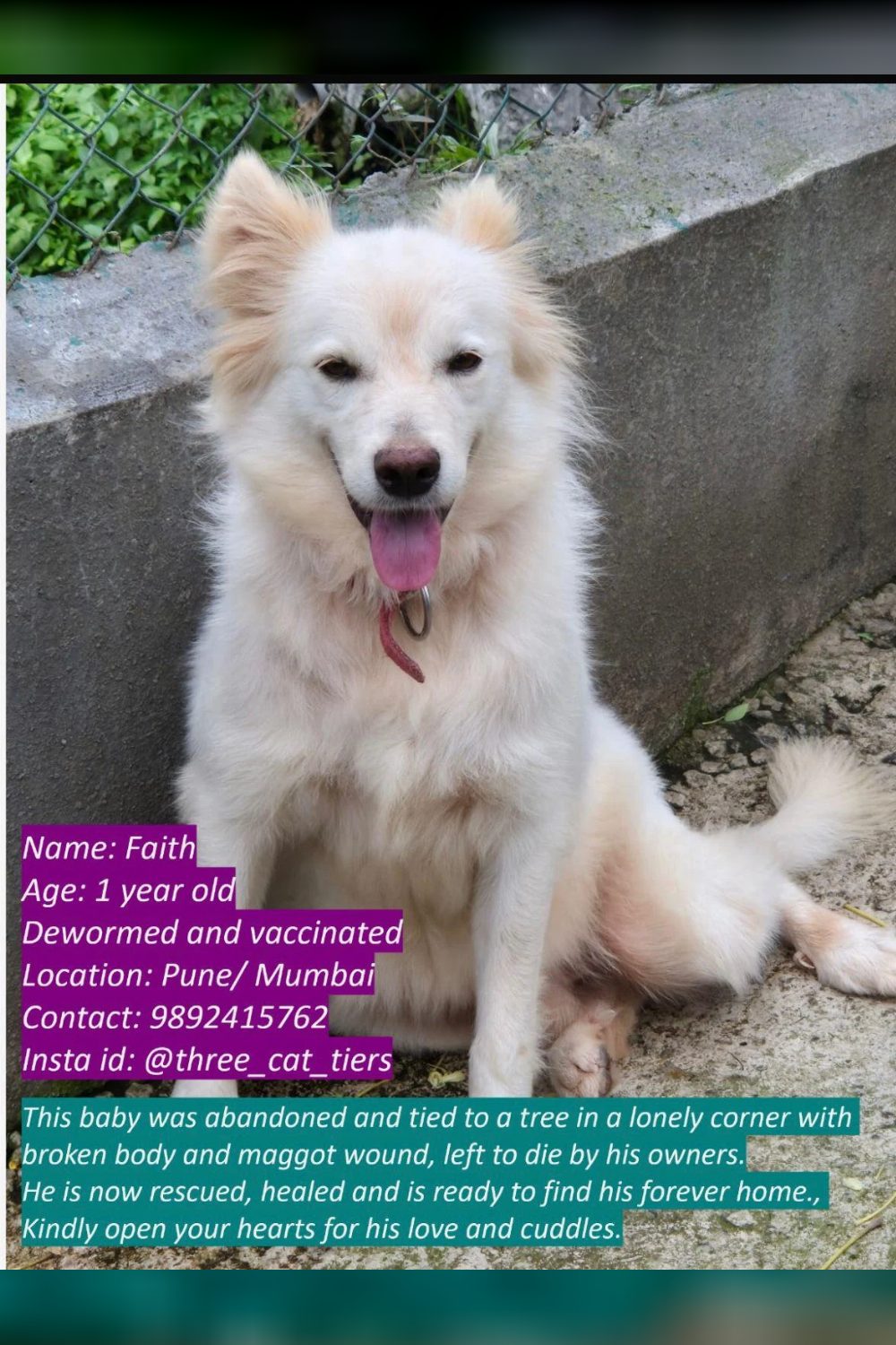 Faith needs a home — Pune