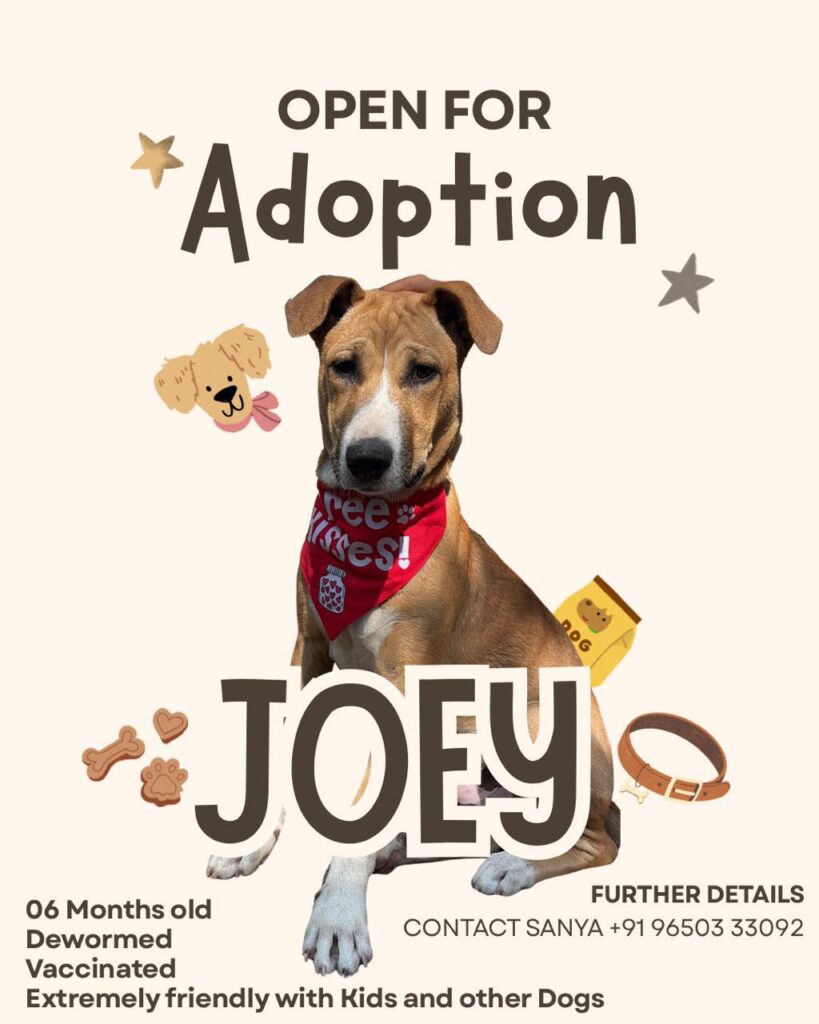 Delhi adoption
