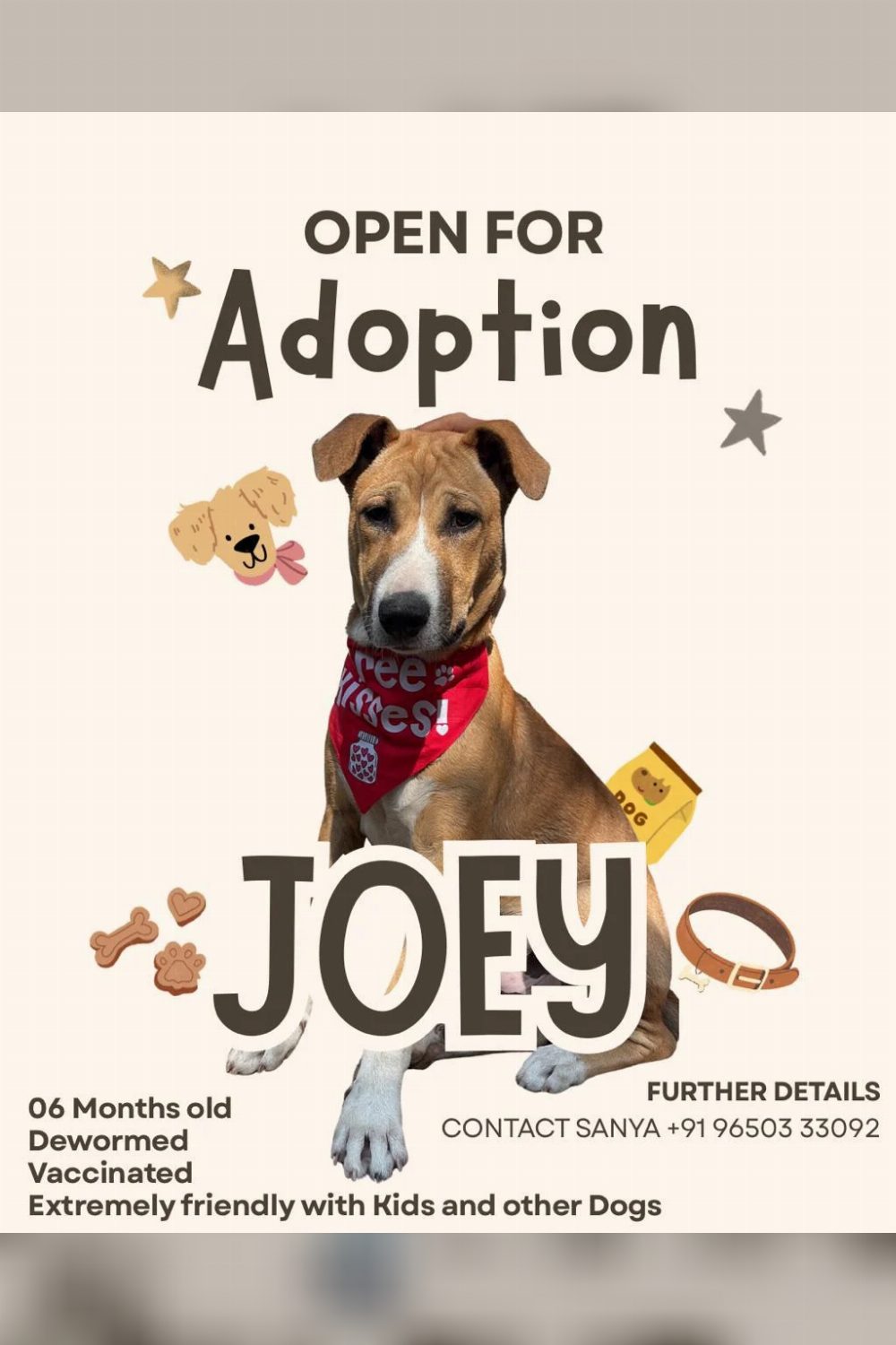 Male for adoption — Delhi NCR