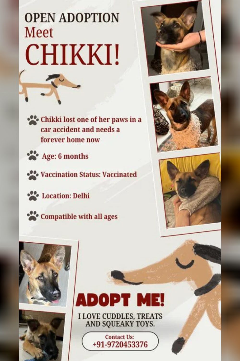 Delhi Urgent Adoption Appeal! DELHI