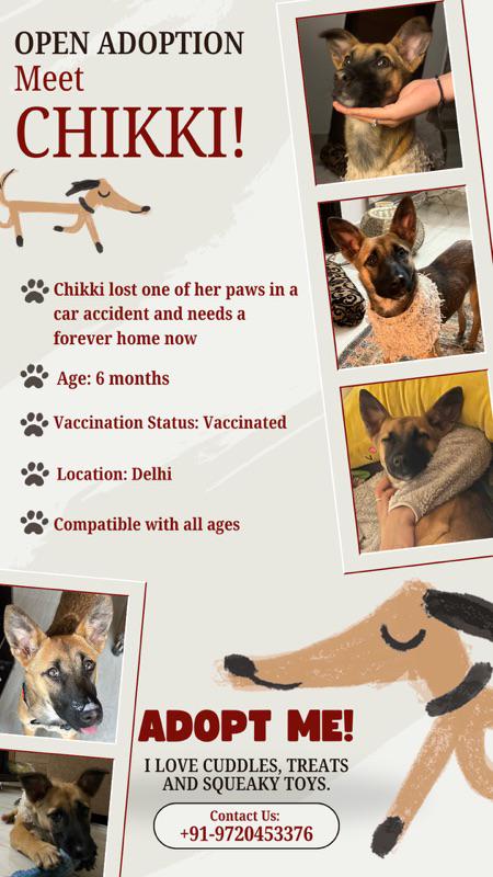 Delhi Urgent Adoption Appeal! DELHI