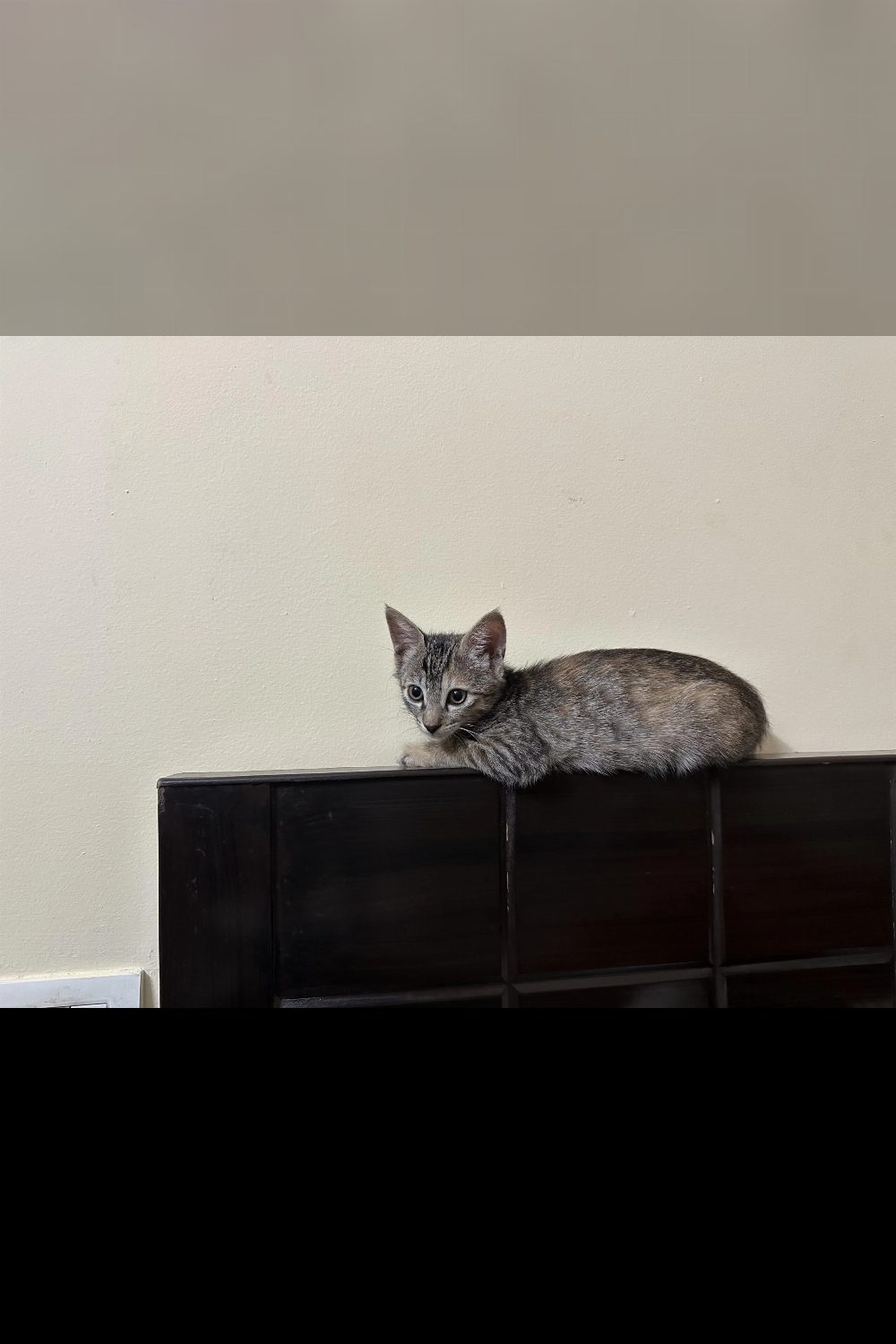Looking for Love? Kiki is Here 💕 — Delhi NCR
