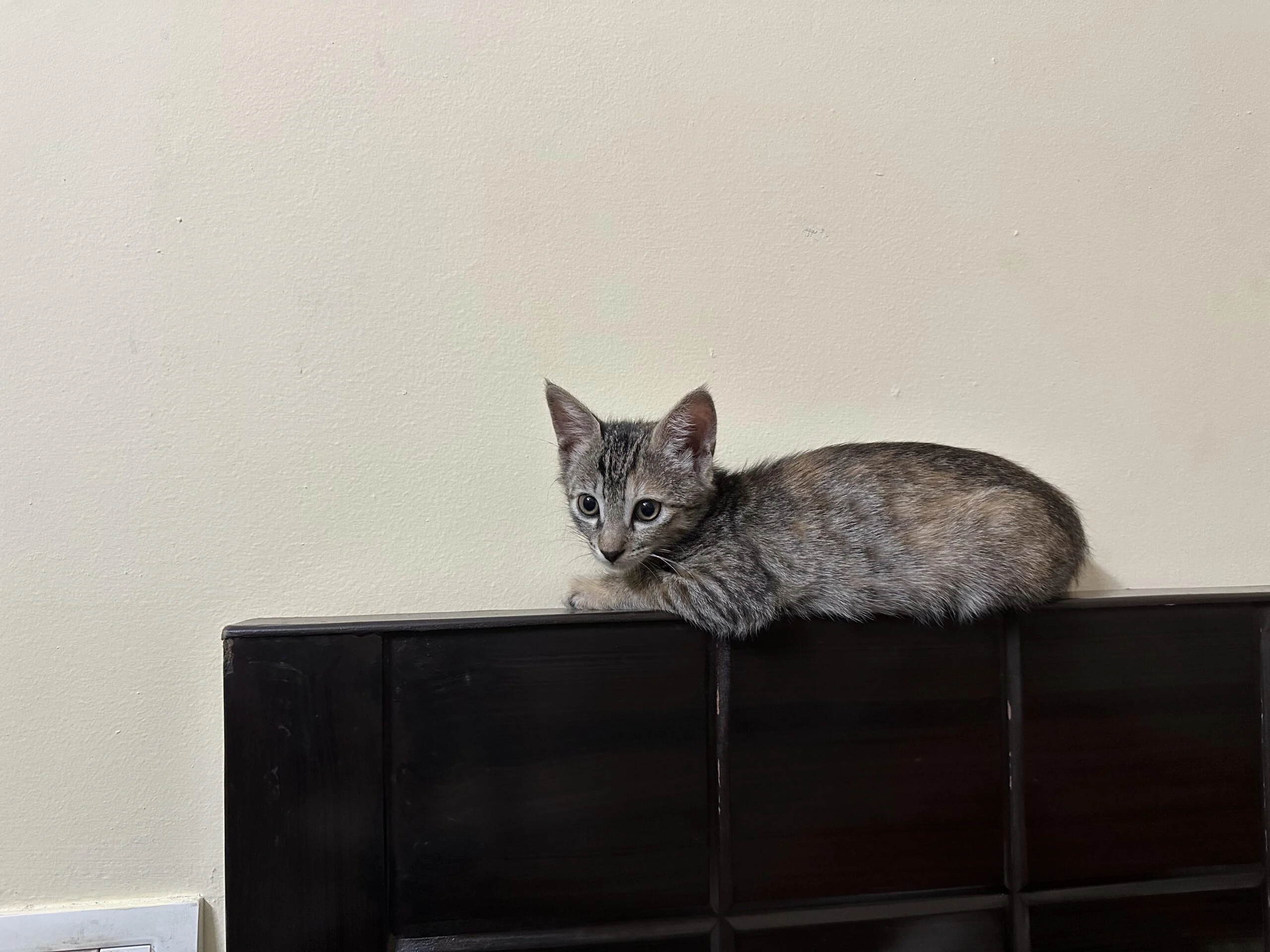 Looking for Love? Kiki is Here 💕