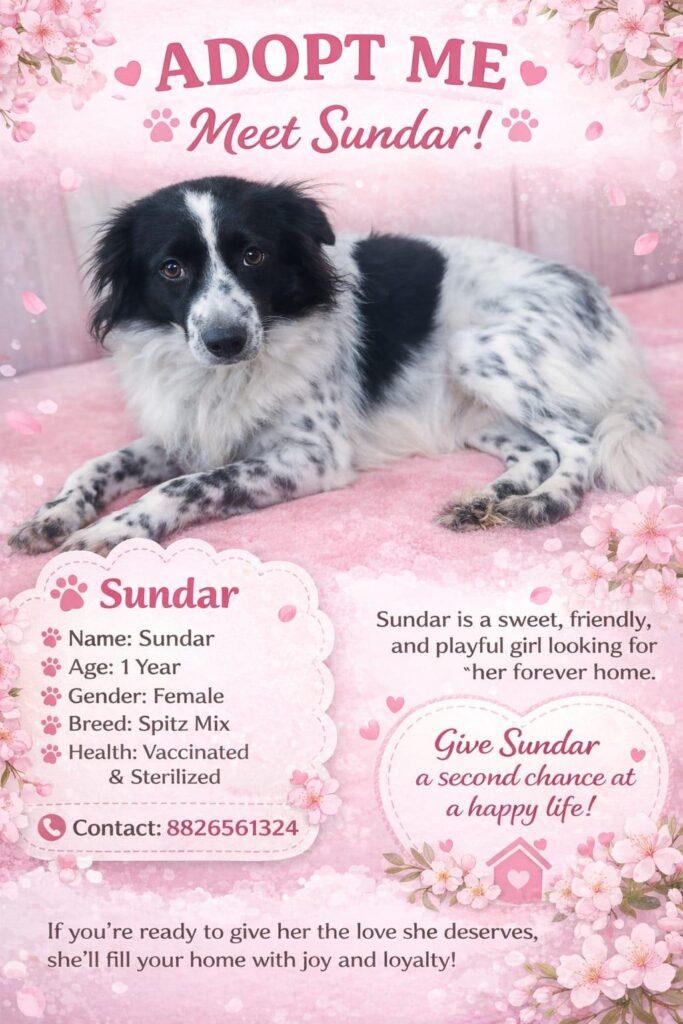 Delhi adoption!