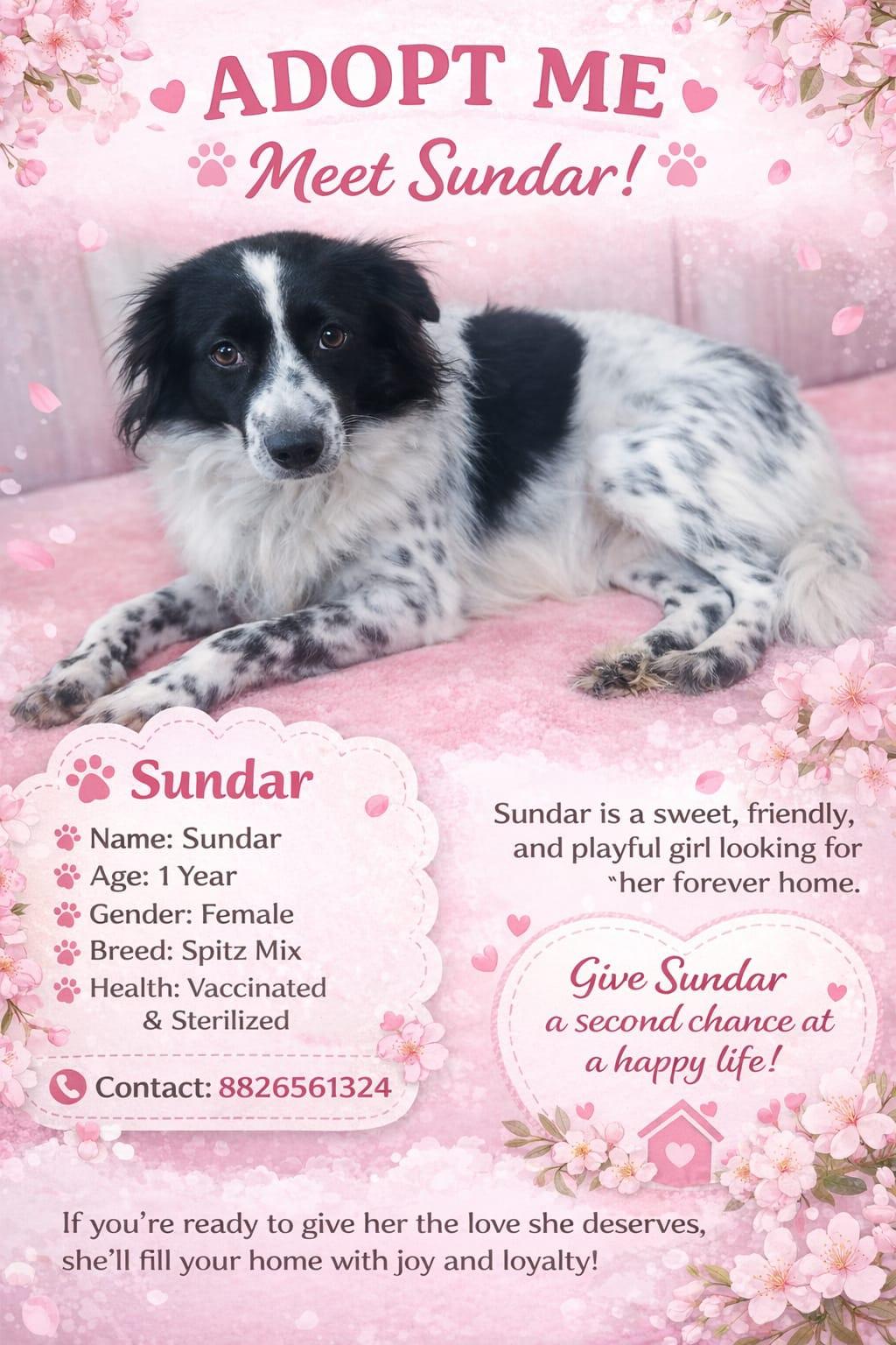 Delhi adoption!