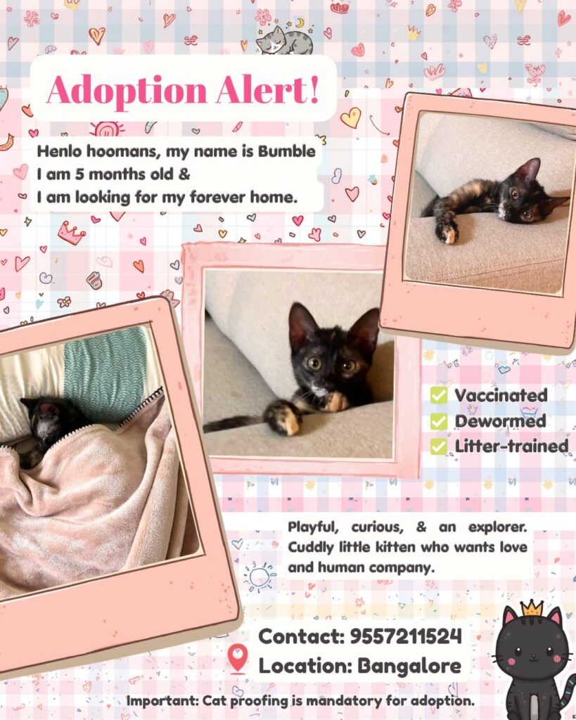 Adopt Bumbelina