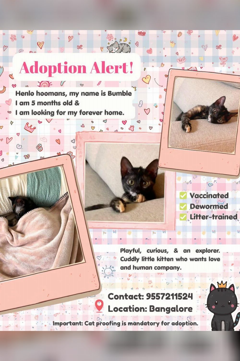 Adopt Bumbelina — Bengaluru