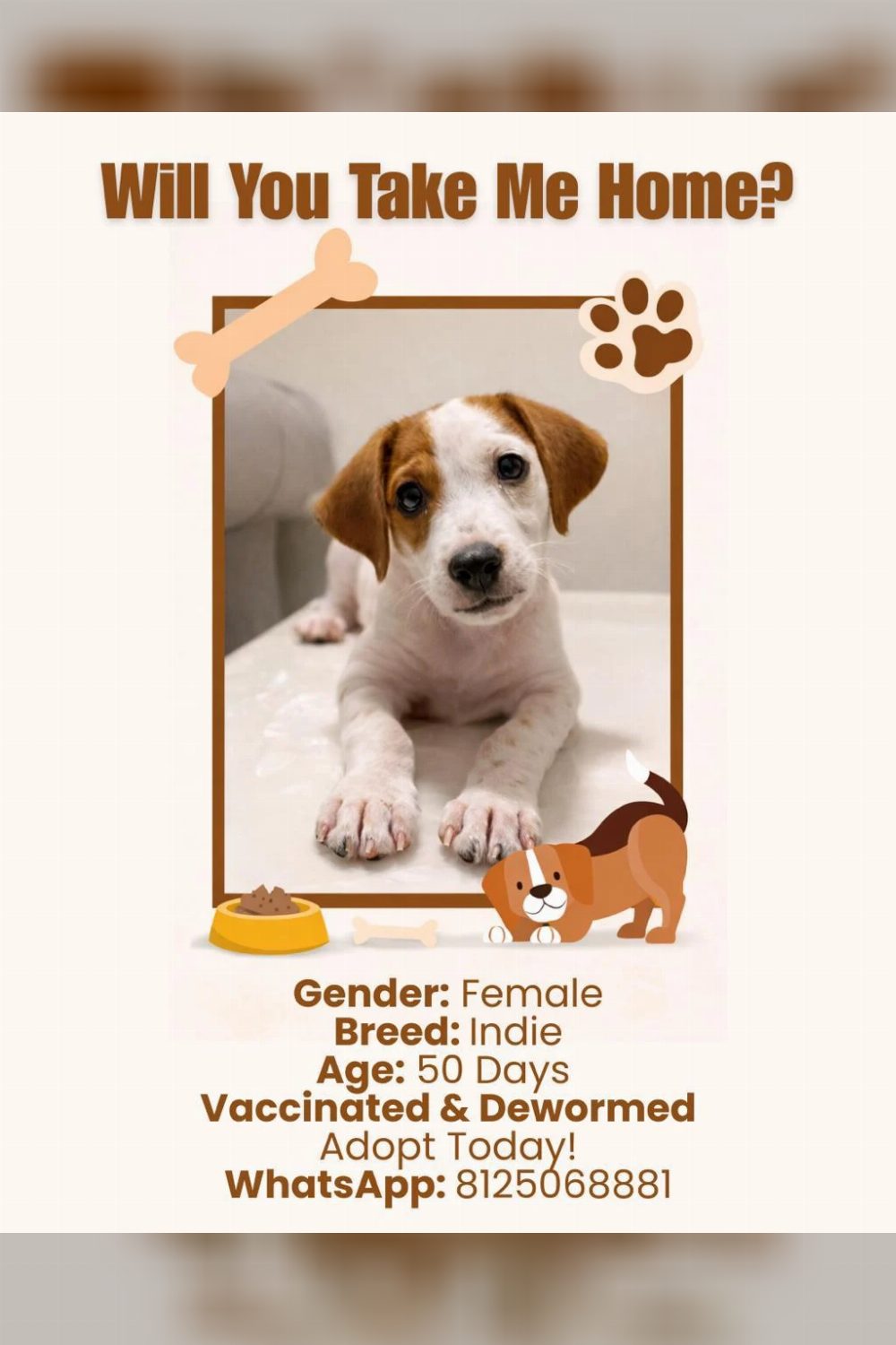 Urgent adoption post appeal, won’t be able to survive on the streets Hyderabad location