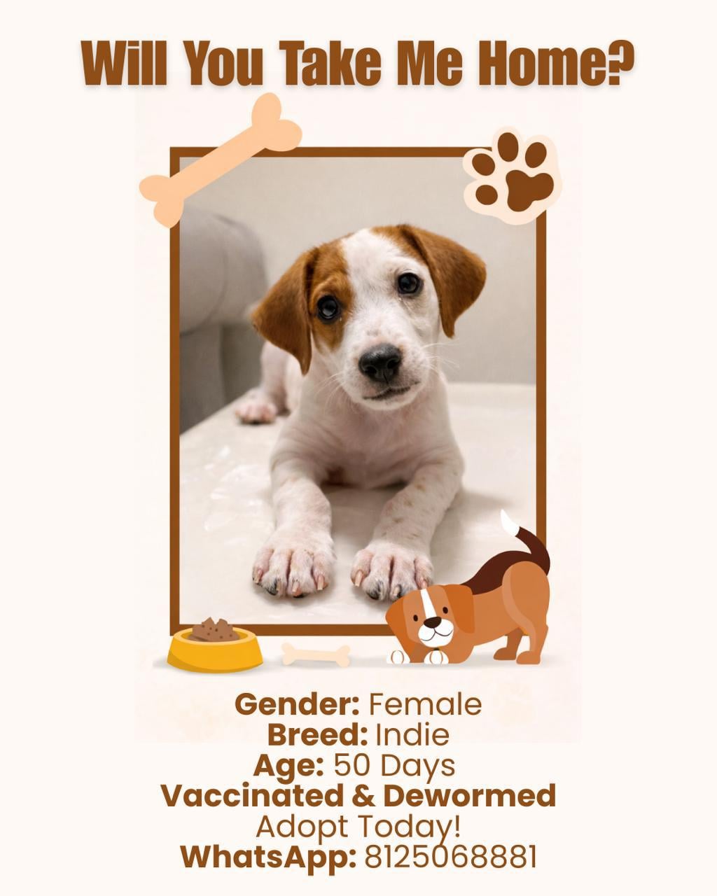 Urgent adoption post appeal, won’t be able to survive on the streets Hyderabad location