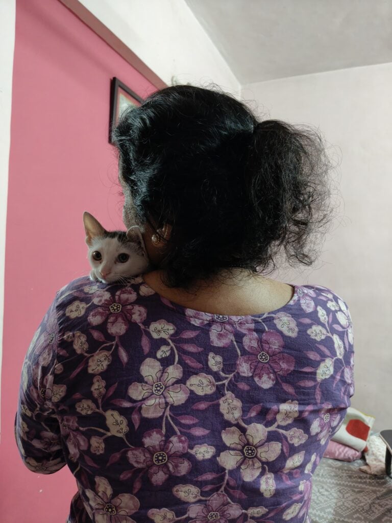 Adopt Minmin! Based in Mumbai, can be relocated to Pune/Bangalore too!