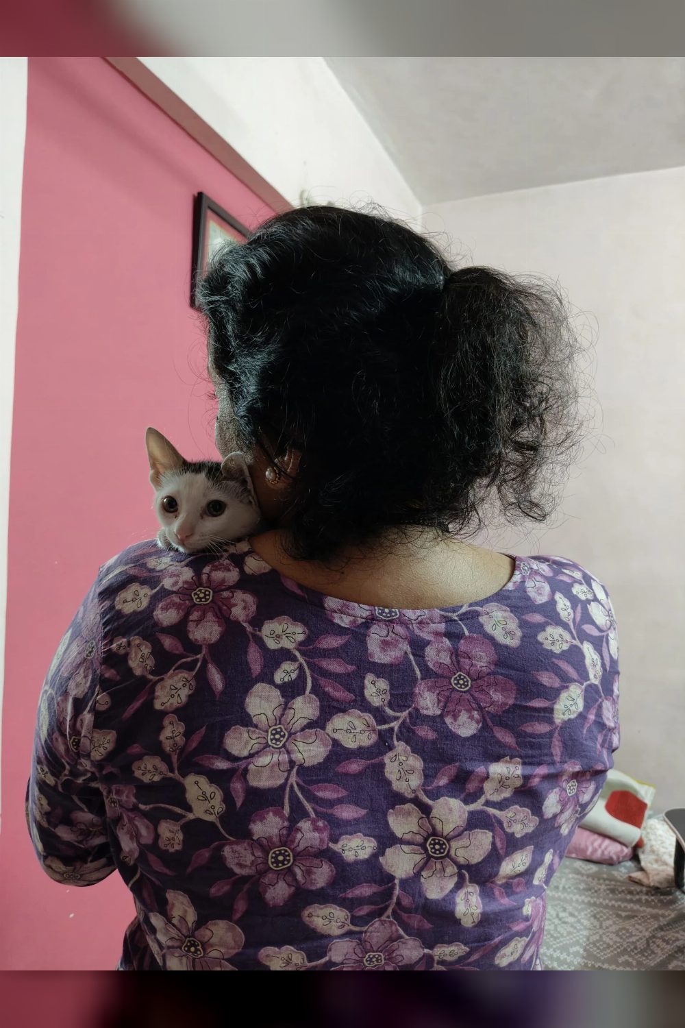 Adopt Minmin! Based in Mumbai, can be relocated to Pune/Bangalore too!