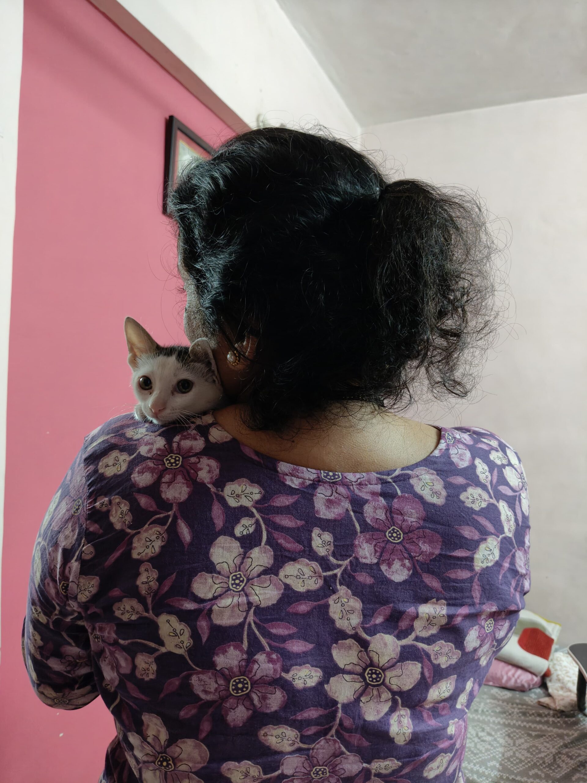 Adopt Minmin! Based in Mumbai, can be relocated to Pune/Bangalore too!