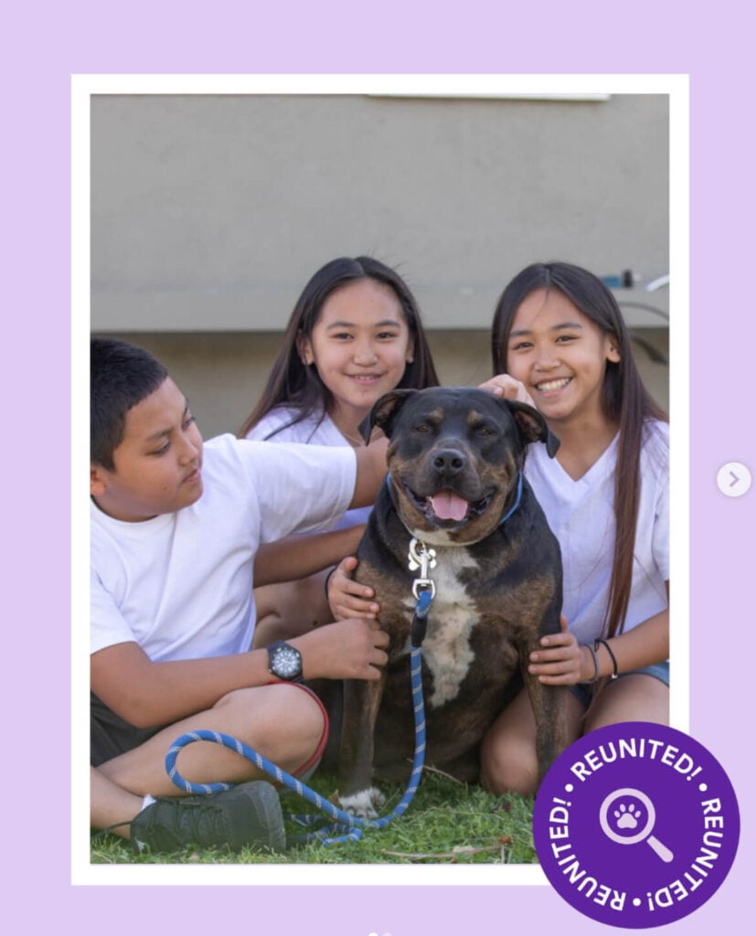 Three children sitting on the grass, smiling and petting their large black and brown dog named Beast, after successfully using an app to find lost dog with AI through the Petco Love platform.
