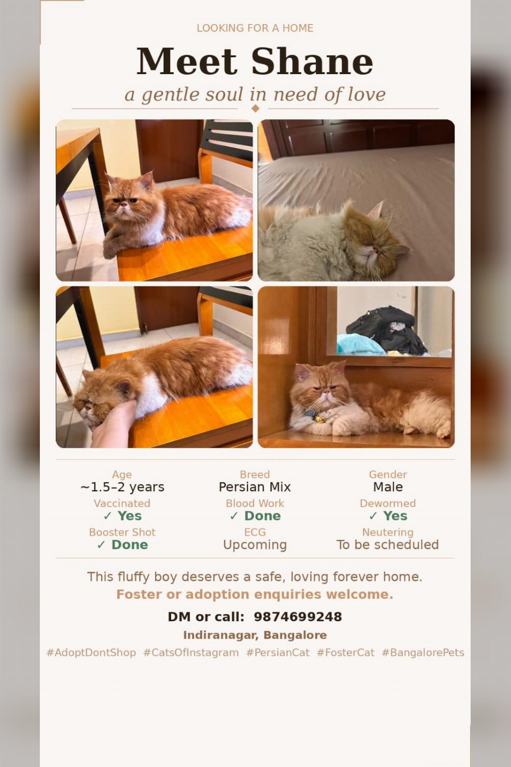 Calling all Bengaluru peeps!