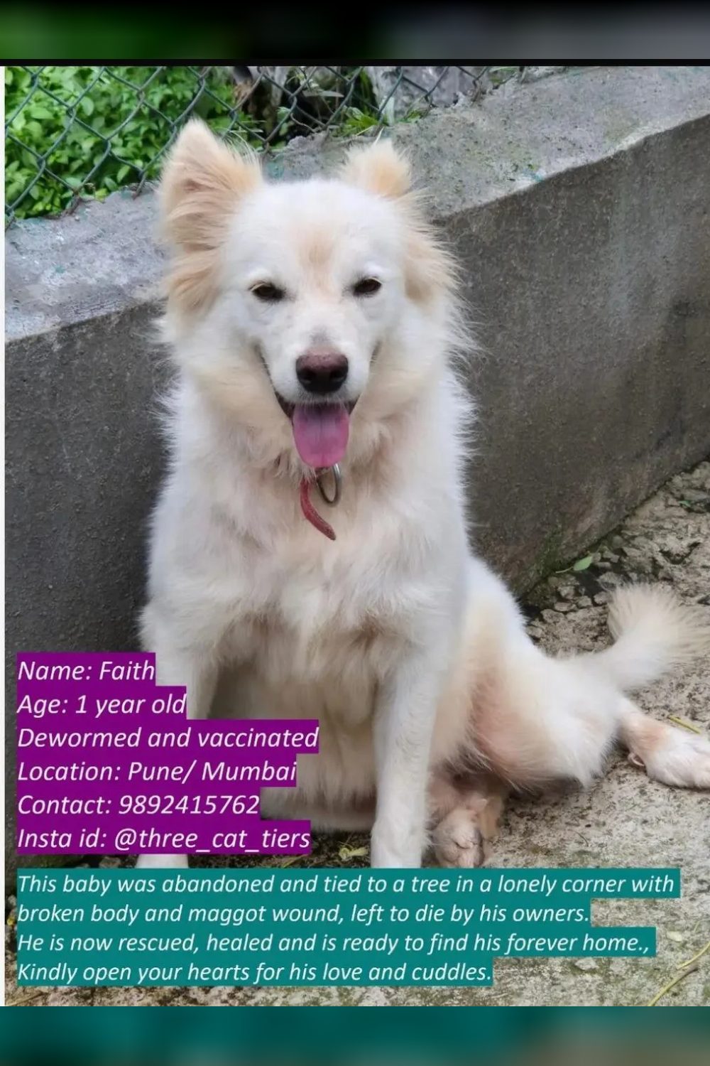 Please Adopt Faith — Pune