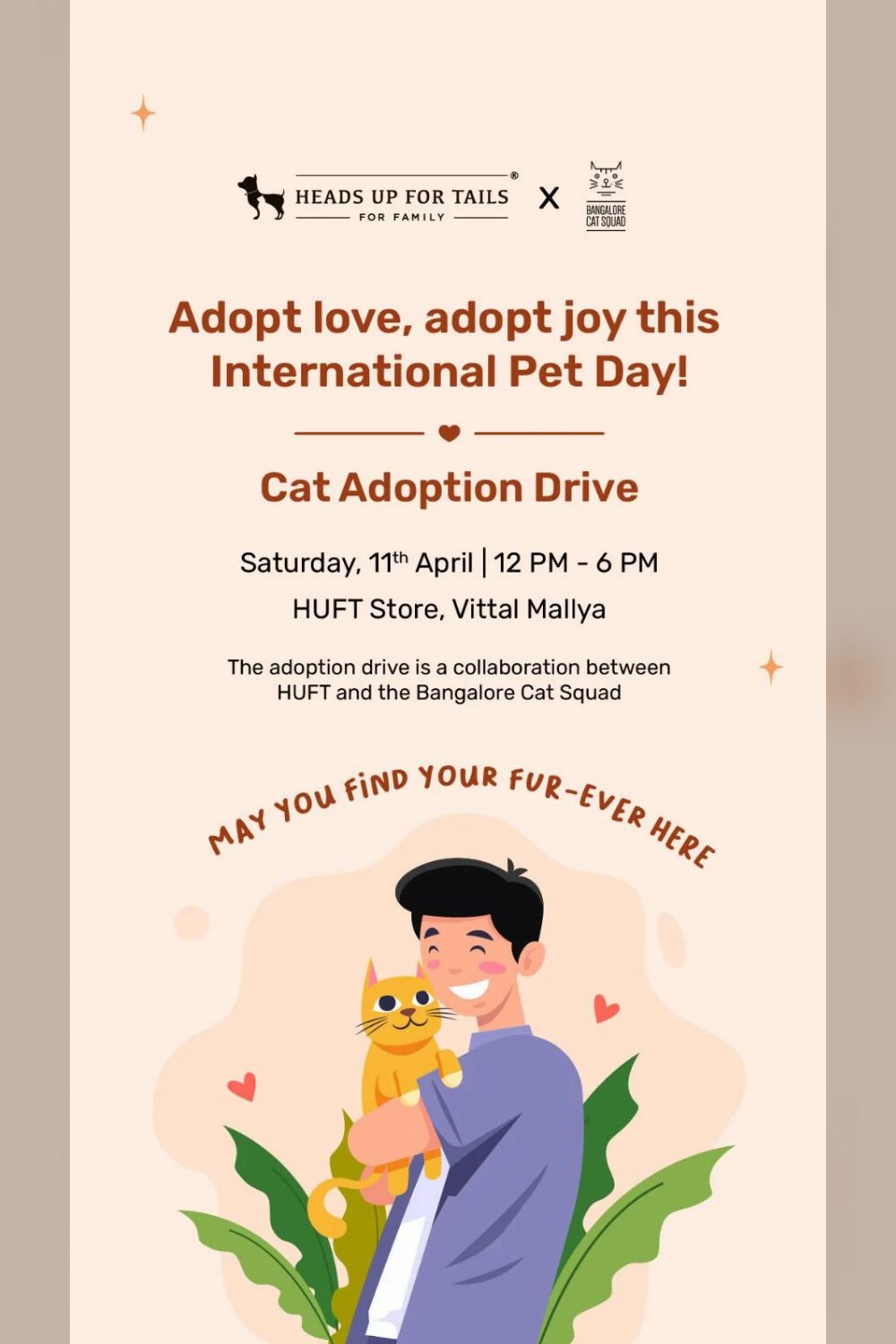 Cat adoption drive this Saturday! — Bengaluru