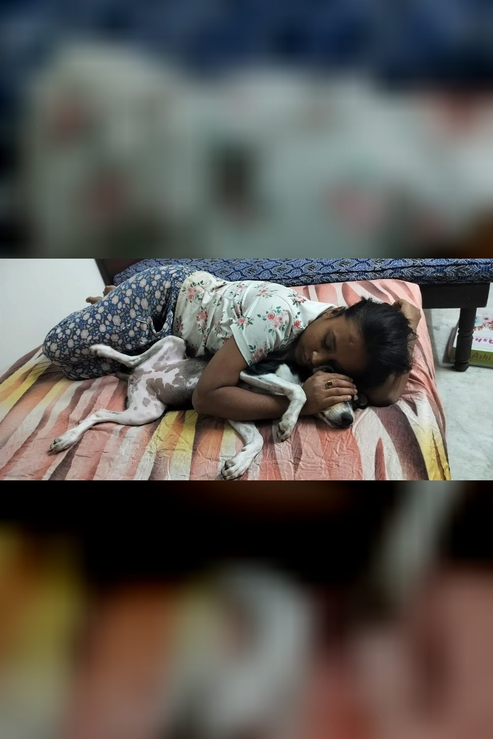Six 4-month-old puppies for adoption — Delhi NCR